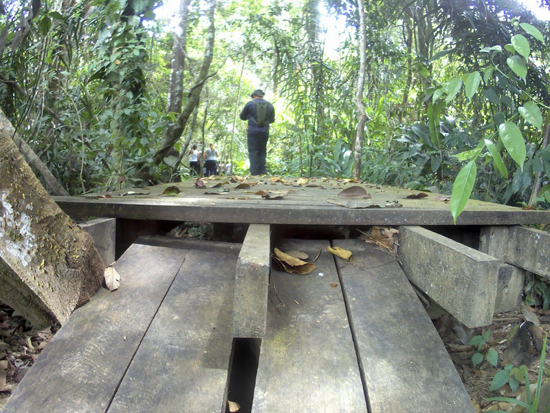 Parque Nacional do Viruá, um campeão de biodiversidade - ((o))eco
