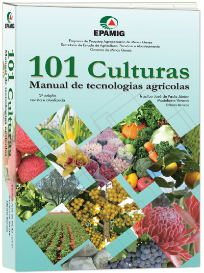 Capa livro
